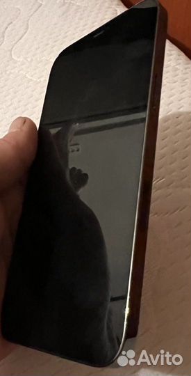 iPhone 12 Pro Max, 256 ГБ
