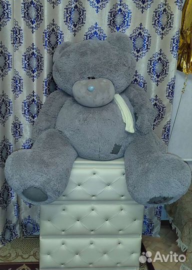 Огромный мишка Тедди, серого цвета, 200 см