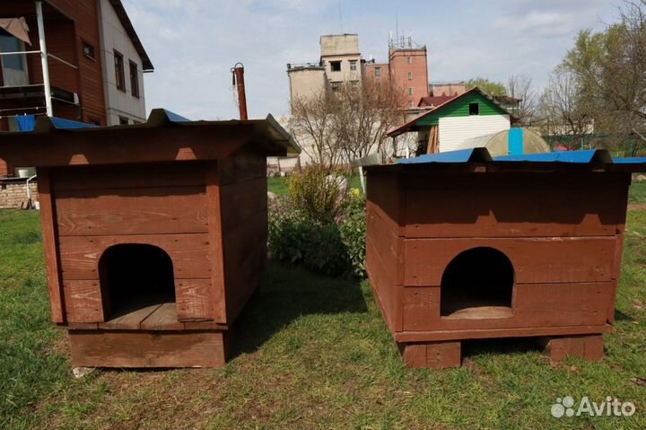 Будка для собаки