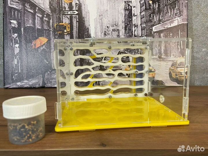 Муравьиная ферма без муравьев