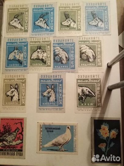 Этикетки порода собак и охраняйте зверей