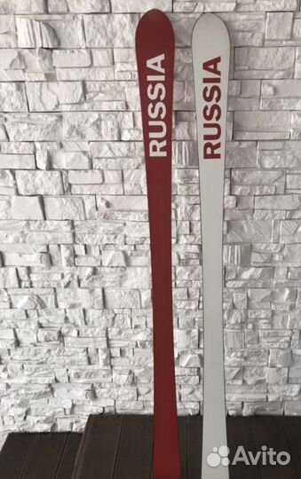 Горные лыжи Bosco sport