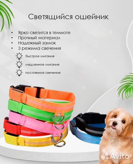 Светящийся ошейник