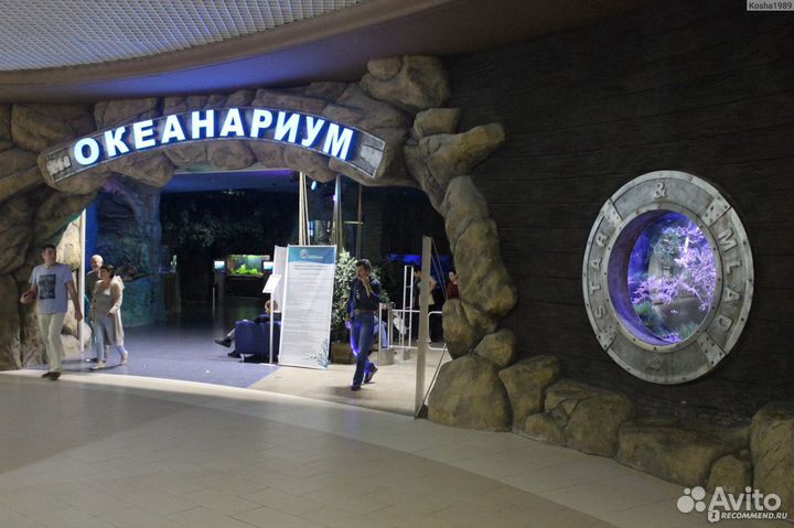 Путешествие Пенза - зоопарк, акеонариум, обзорка