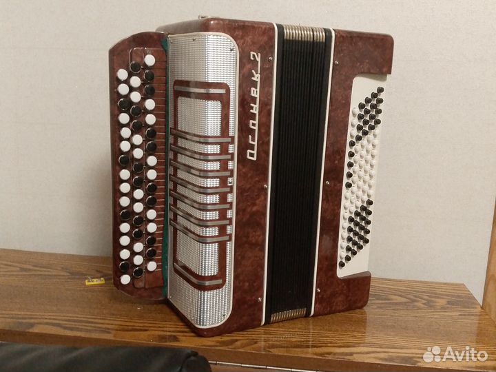 Баян Огонек 2