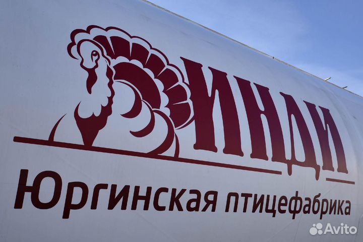 Ветеринарный врач