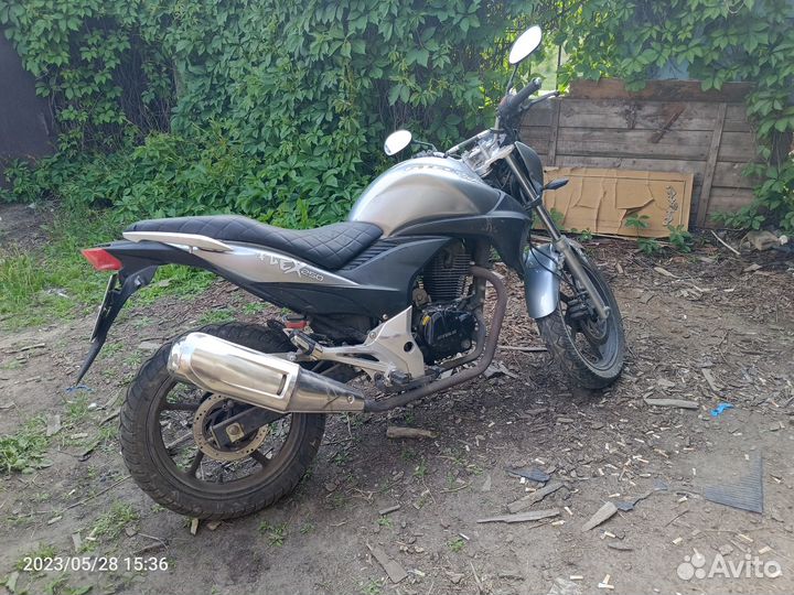Stels Flex 250