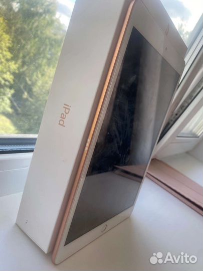 iPad