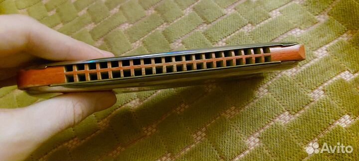 Senora Double Harmonica