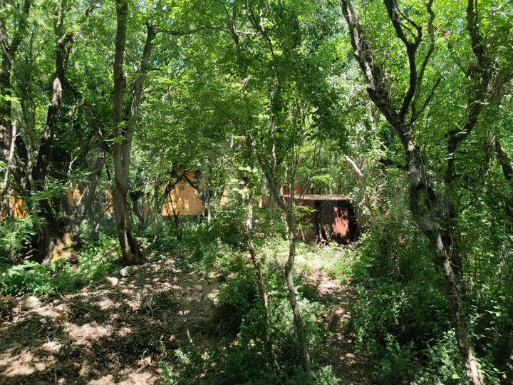 Участок 1,5 га (СНТ, ДНП)