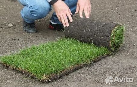 Газон от производителя