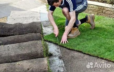 Гидропосев