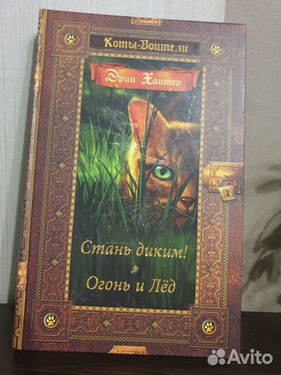Эрин Хантер Коты-Воители Стань диким, Огонь и лёд