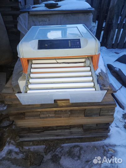 Инкубатор для яиц автоматический переворот бу