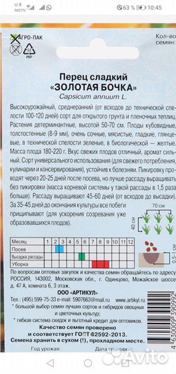 Рассада перца сладкого