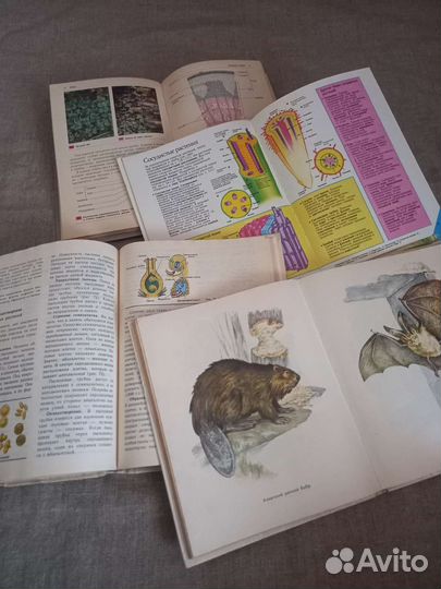 Книги по биологии Биология учебник советские