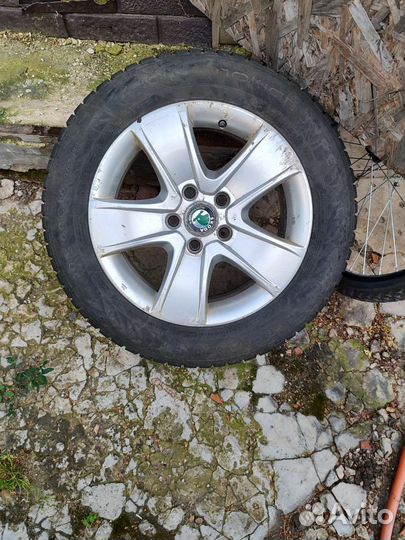 Nokian Tyres Nordman 7 205/60 R16