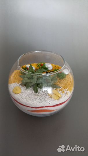 Флорариум суккуленты подарок