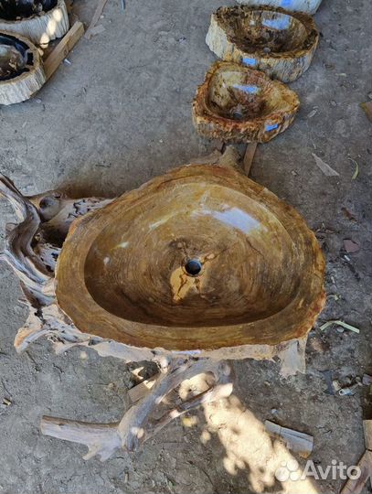 Раковина из окаменелого дерева о.Бали