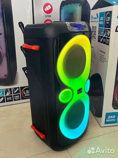 Переносимая музыкальная колонка ELT20-25new