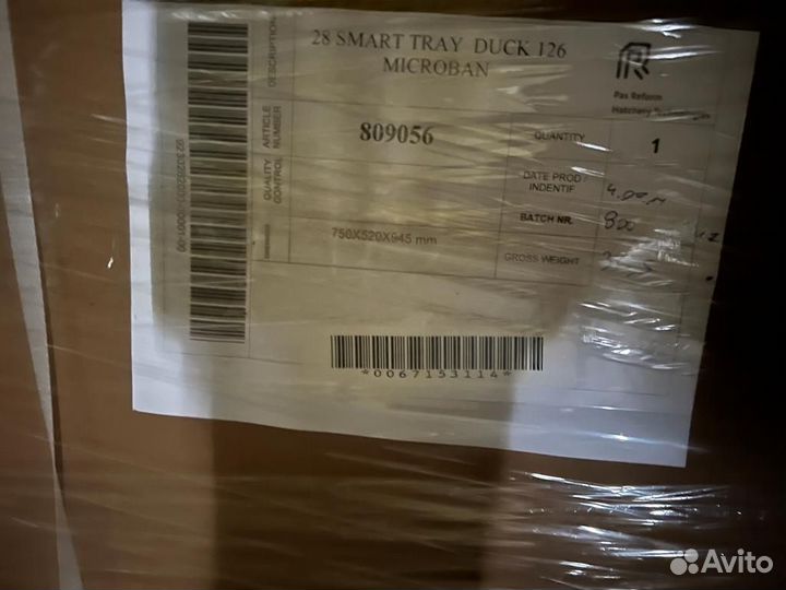 Инкубационный лоток Pas Reform (пас реформ)