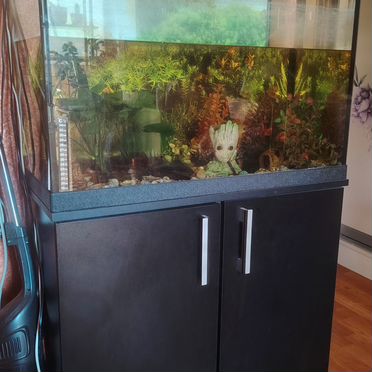 Аквариум с тумбой 150л