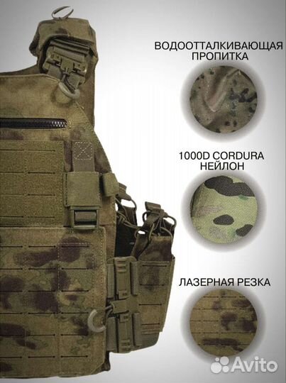 Плитник мох