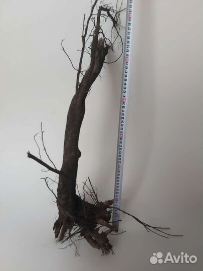 Коряги корни для аквариума / террариума