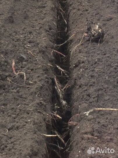 Траншеекопатель бара грунторез услуги