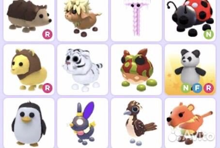 Петы адопт ми