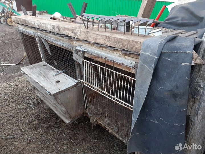 Клетки для кроликов бу