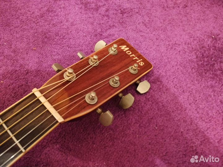 Акустическая гитара Morris w30