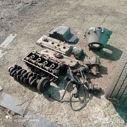 Газель и бычек