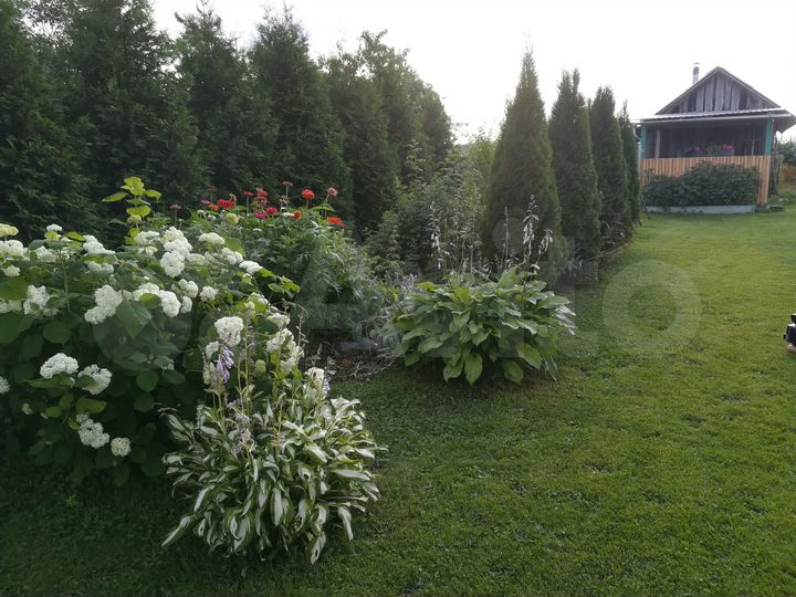 Дом 54,9 м² на участке 35 сот.