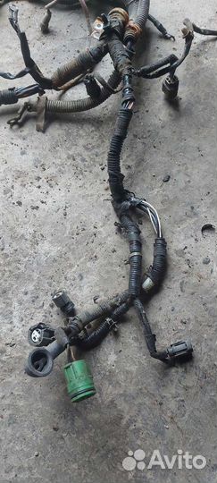 Проводка двигателя на Honda inspire