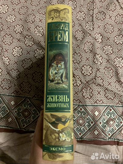 Энциклопедия жизнь животных