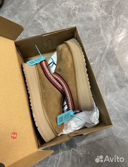 Угги Ugg Tazz Chestnut Оригинал