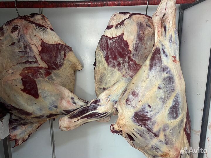 Мясо говядина баранина дагестанская халяль