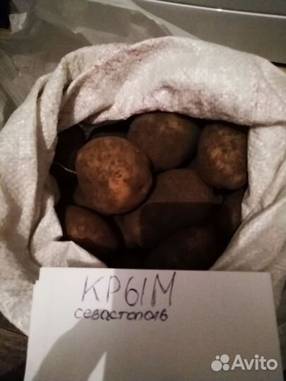 Продам картофель