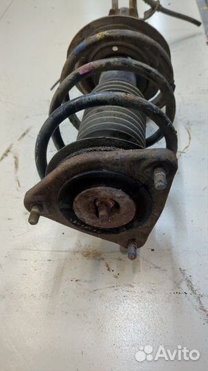 Амортизатор подвески киа Ceed, 2013