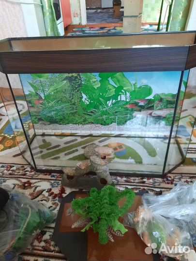Аквариум