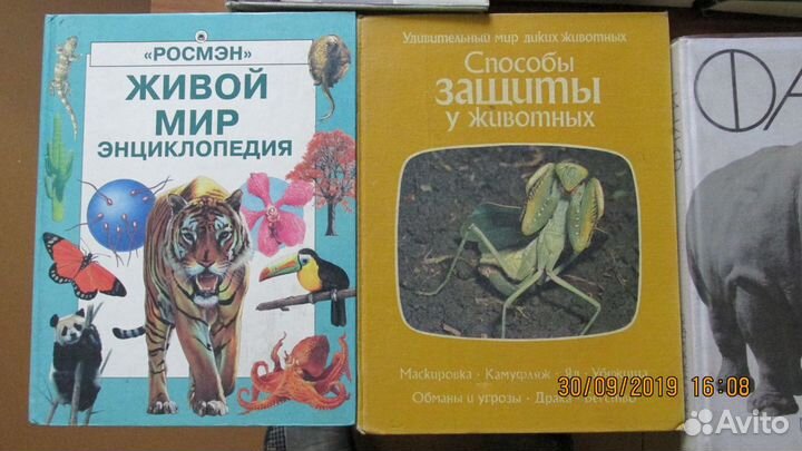 Книги о животных