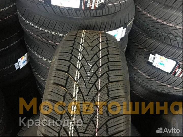 Arivo Winmaster ProX ARW3 205/70 R15 96T