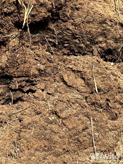 Навоз коровий, конский, перегной, компост