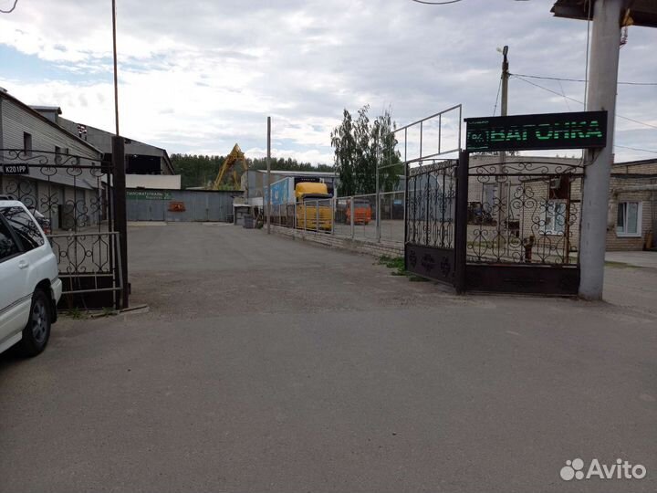 Вагонка липа