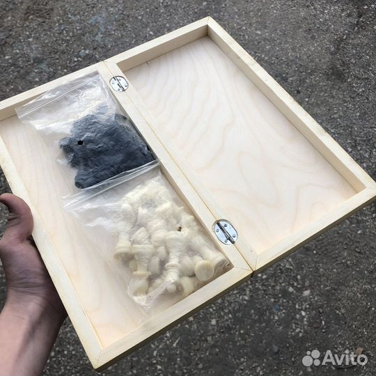 Шахматы