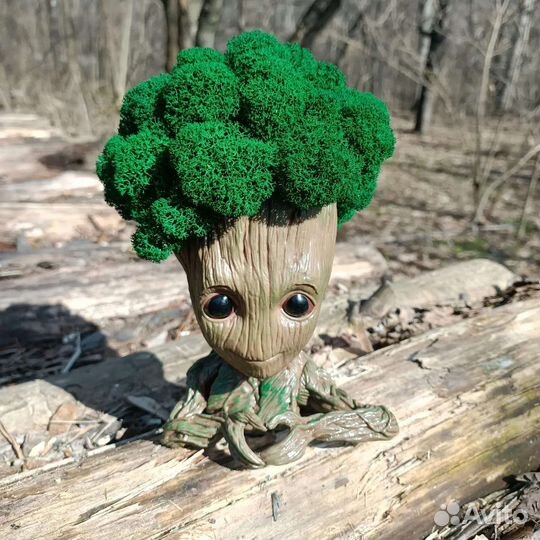 Грут со мхом. Декор. Подарок