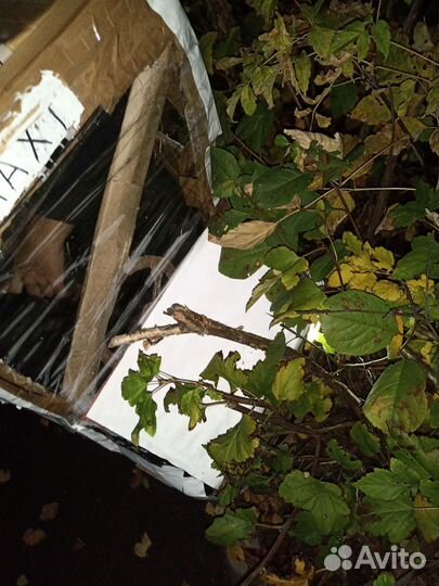 Картона мобил ziperi