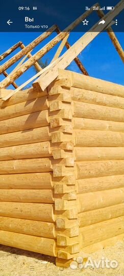 Срубы Завидово