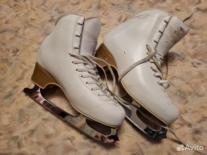 Коньки фигурные Edea Flamenco на Wilson C. Dance